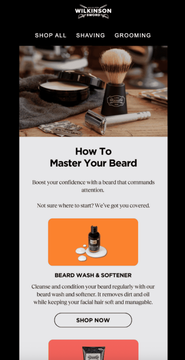 Wilkinson Sword + Gravytrain CRM Email campaign with content around how to master your beard