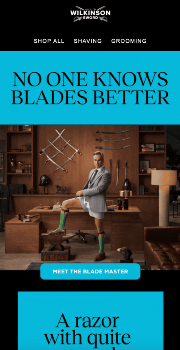 Wilkinson Sword + Gravytrain CRM Email campaign with title No One Knows Better