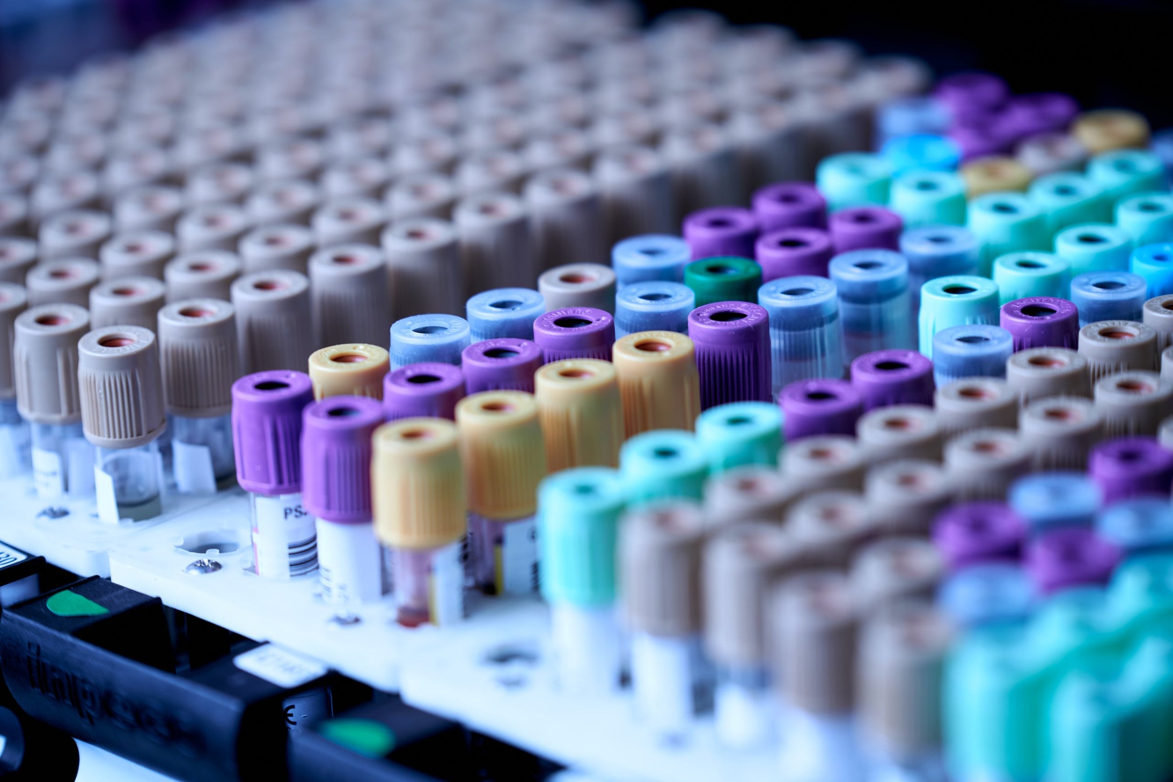 Colorful test tubes on a rack in a laboratory setting